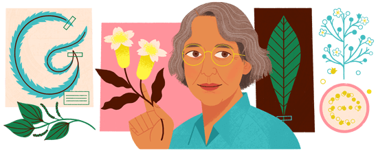 Ynes_Mexia_Meixcan botanist